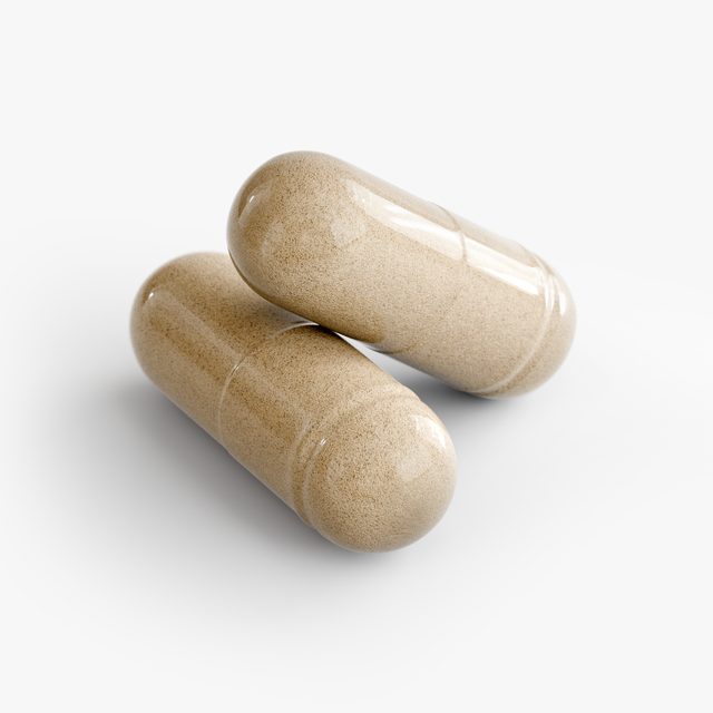 A pair of Human Runtime Shutdown™’s capsules close up, the powder inside showing through the shell.
